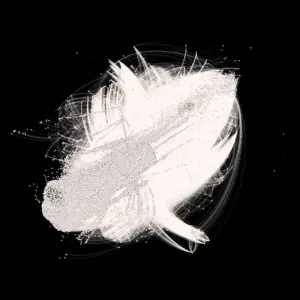 quantum url quantum site - featured image